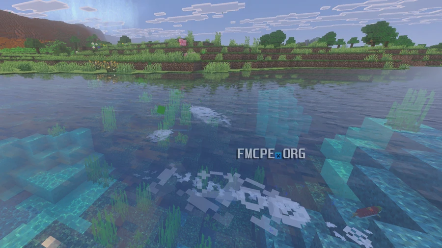 Fish traces on the water