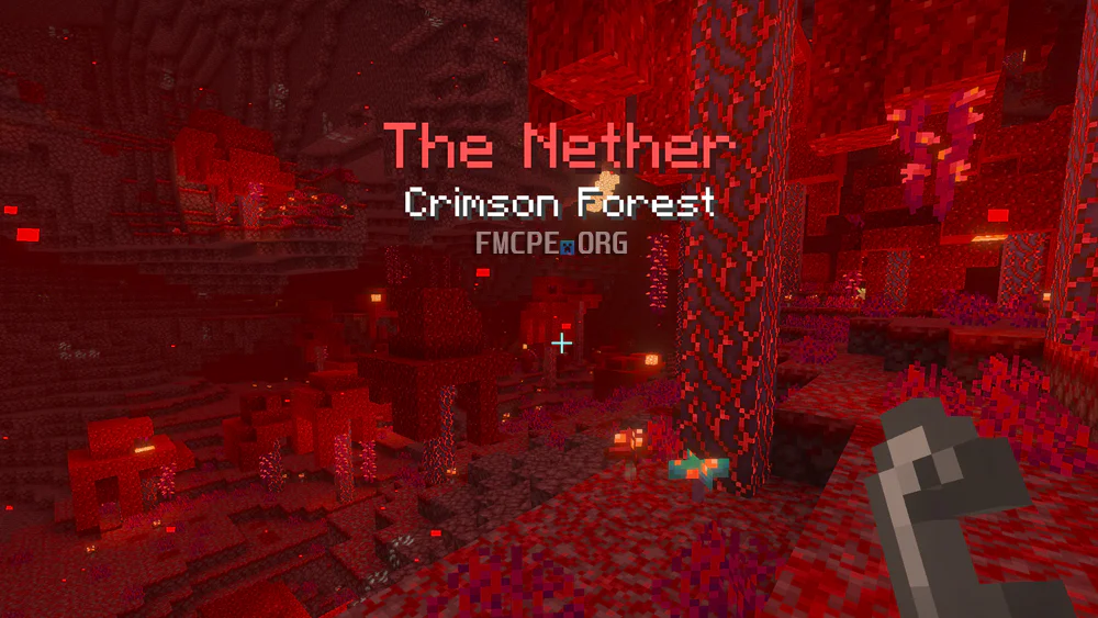The Nether - Crimson forest title