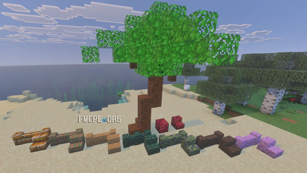 Palm tree and new fence blocks