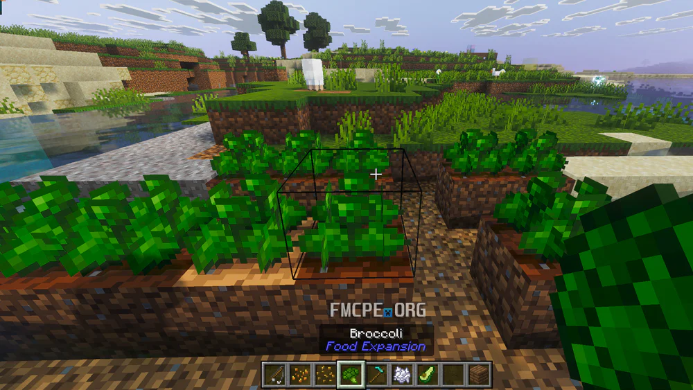 Broccoli
