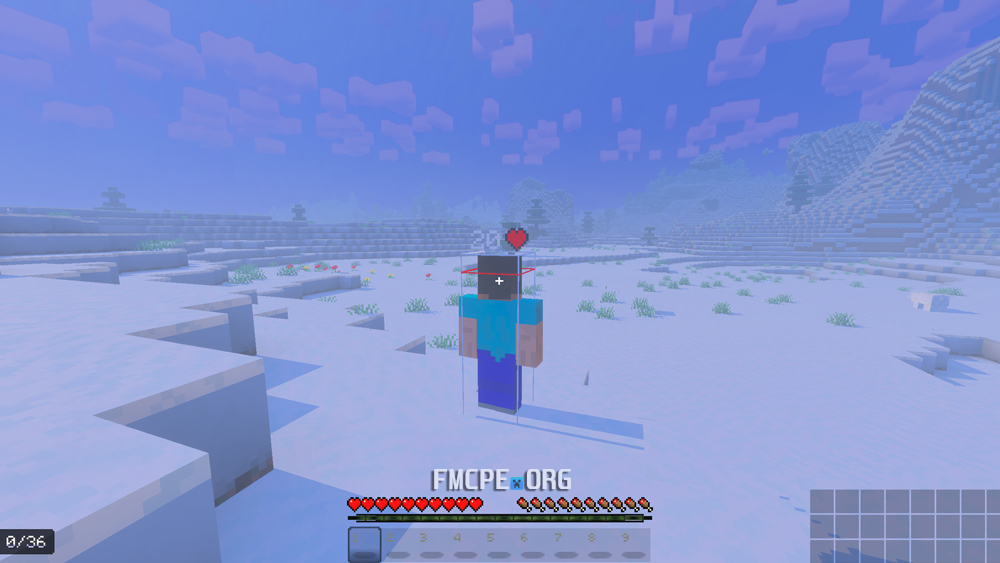 Player Hitbox and HP above the head