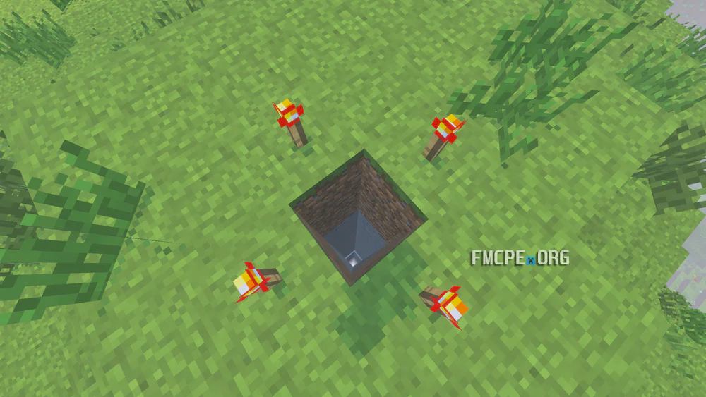 The hole in the ground