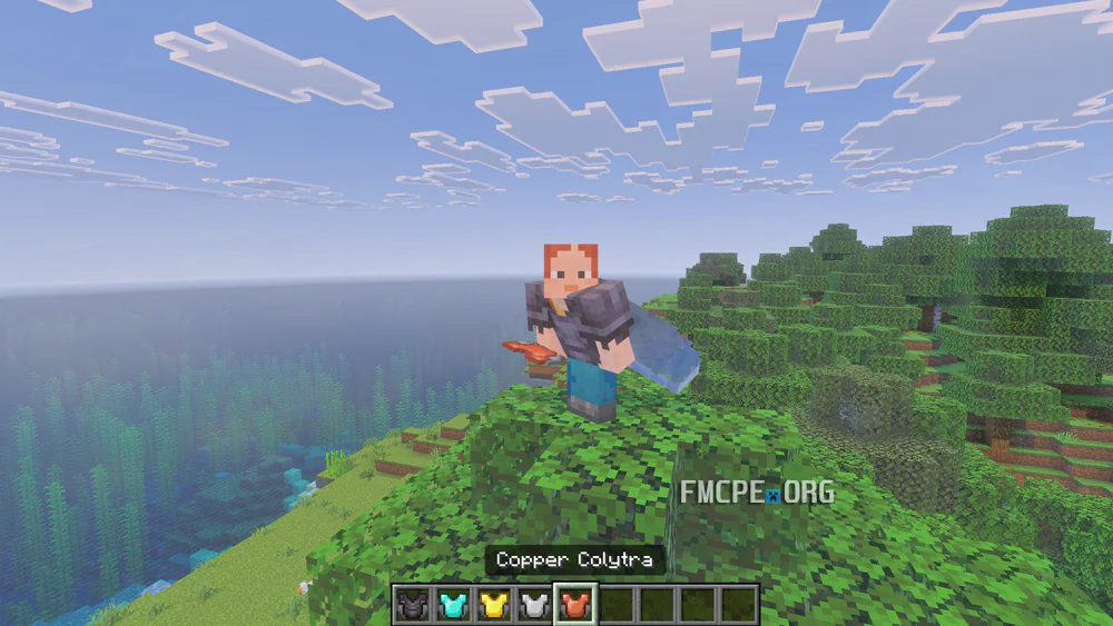 Netherite Chestplate with Elytra wings attached