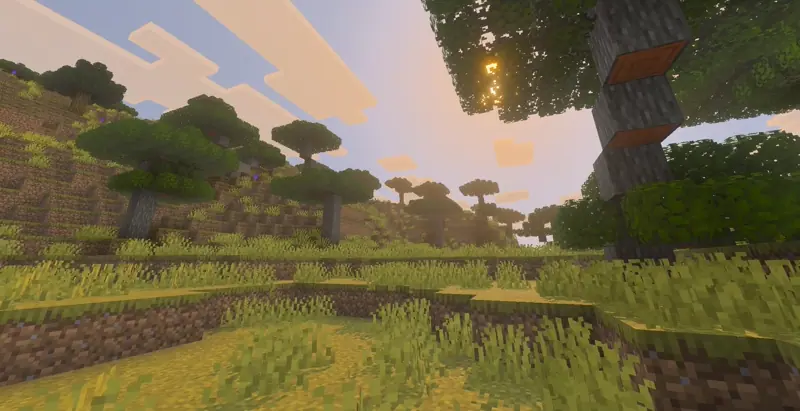 Wavy Grass