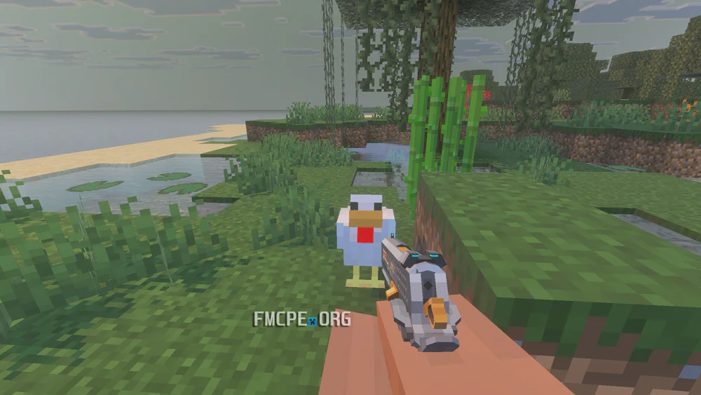 Aiming at a chicken
