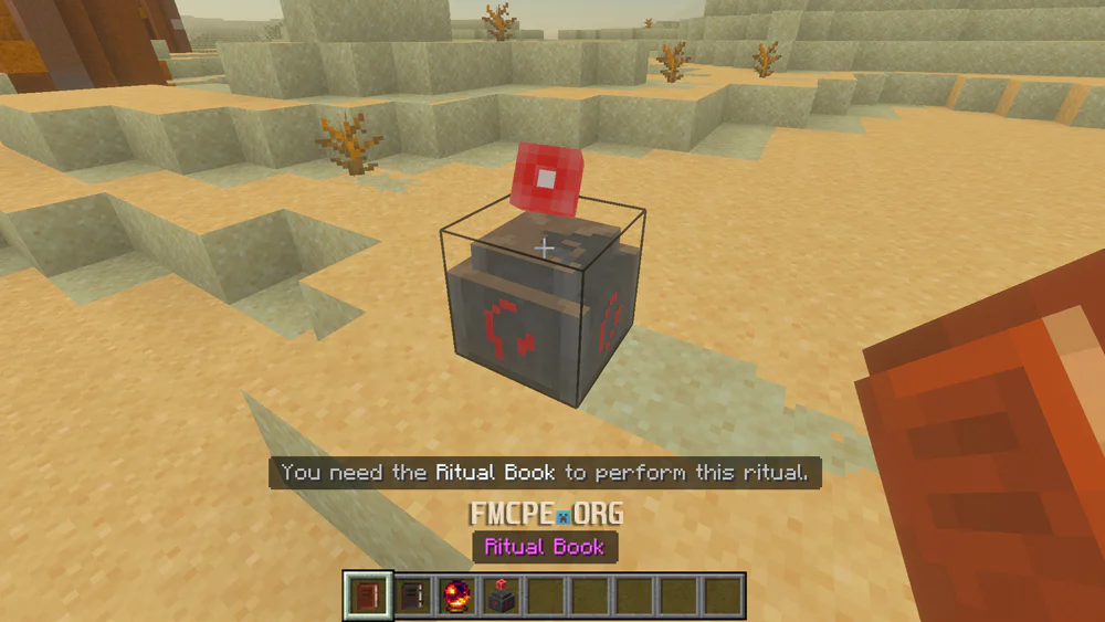 The book will take to the altar