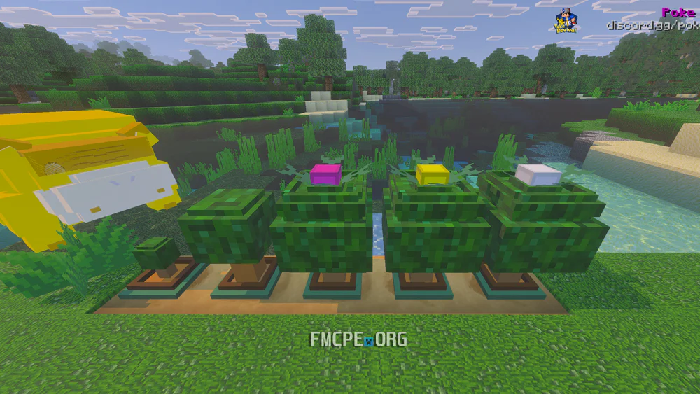 Apricorn growing