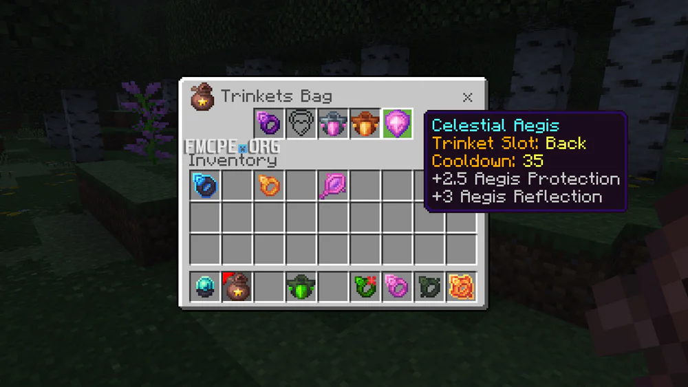 Inside a Trinkets bag