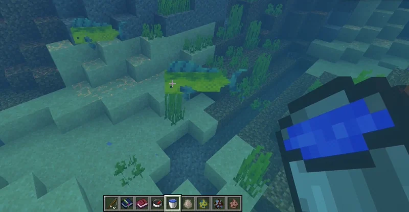 Catching fish