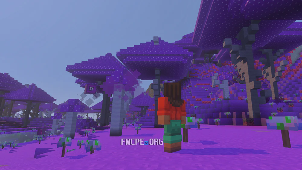 Magic Forest