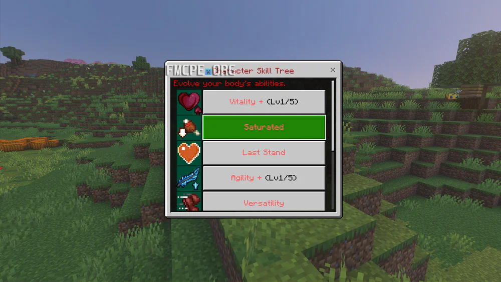 Leveling my character
