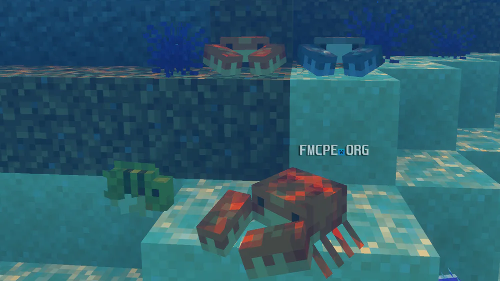 Crabs, Sea Urchin
