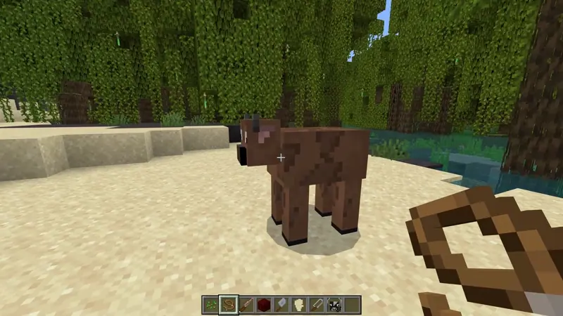 Subduing a Buffalo