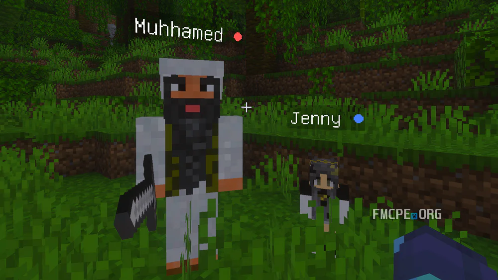 Customized NPCs
