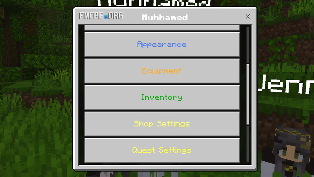Customizing NPCs