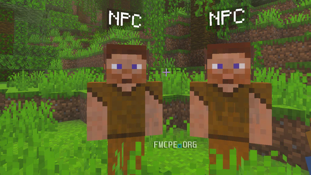NPC's default look