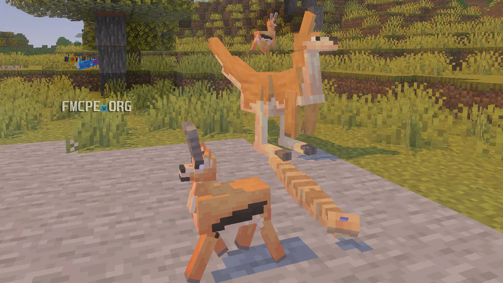 Kangaroo, Antelope, Snake