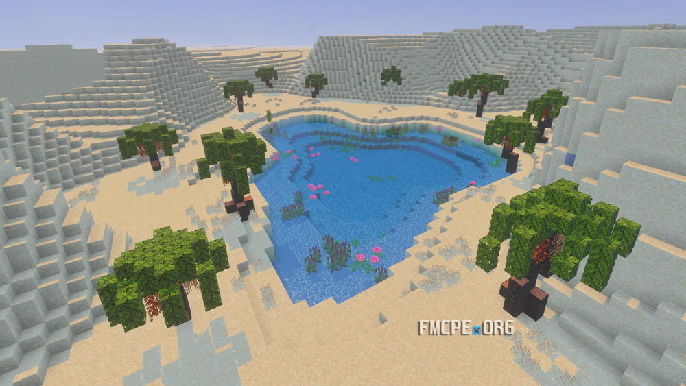 Oasis