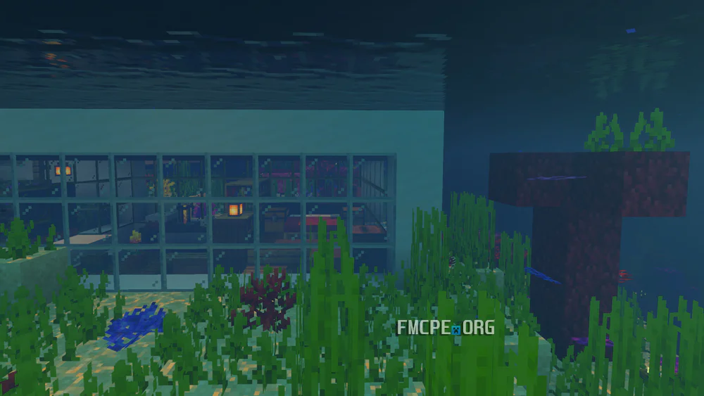 Underwater view