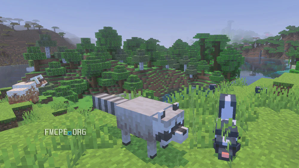 Racoon and Skunk