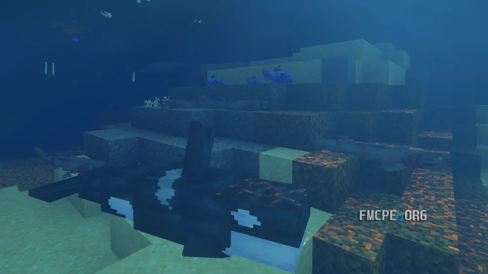 Sea Creatures