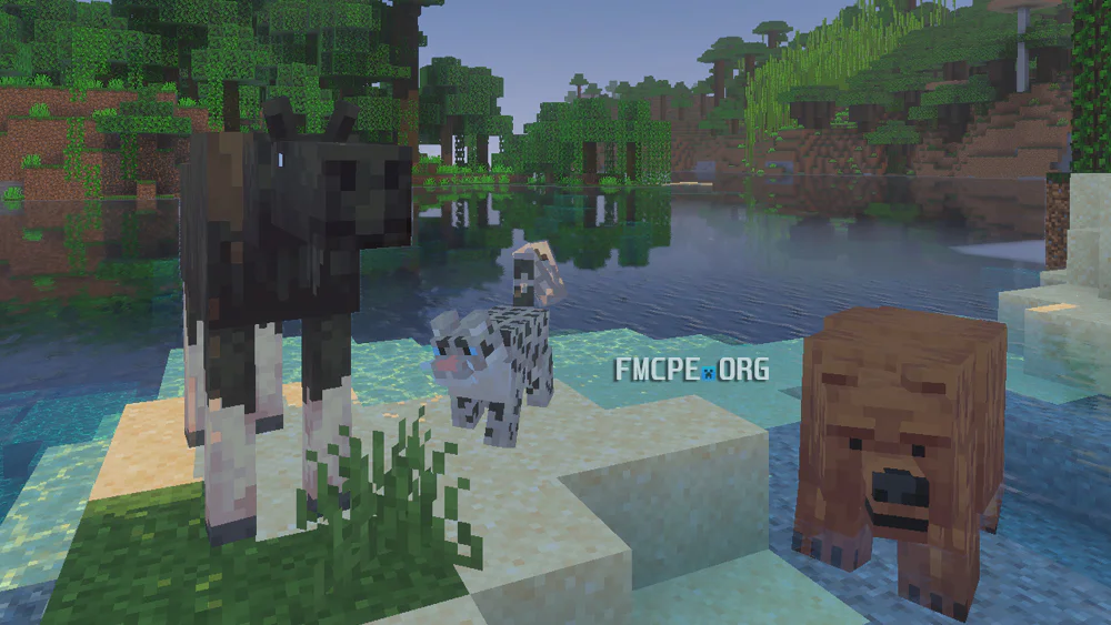 Snow Leopard, Moose, Bear
