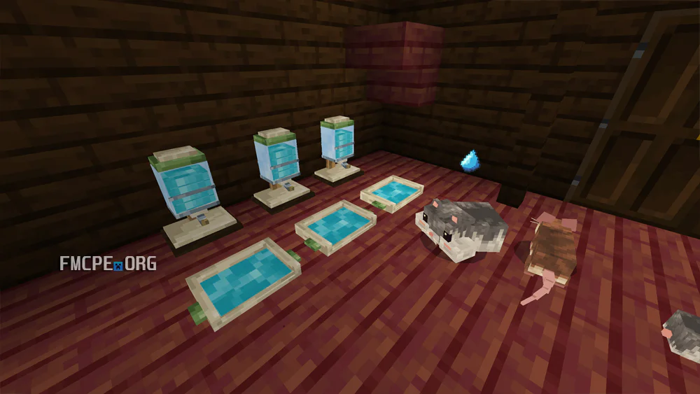 Water Drinking bowls