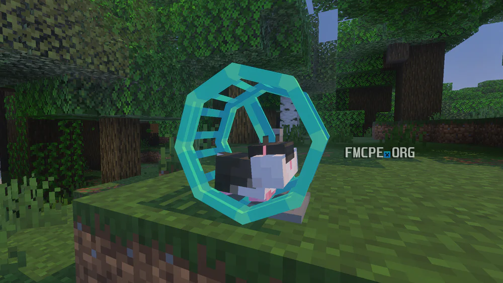 Hamster Wheel
