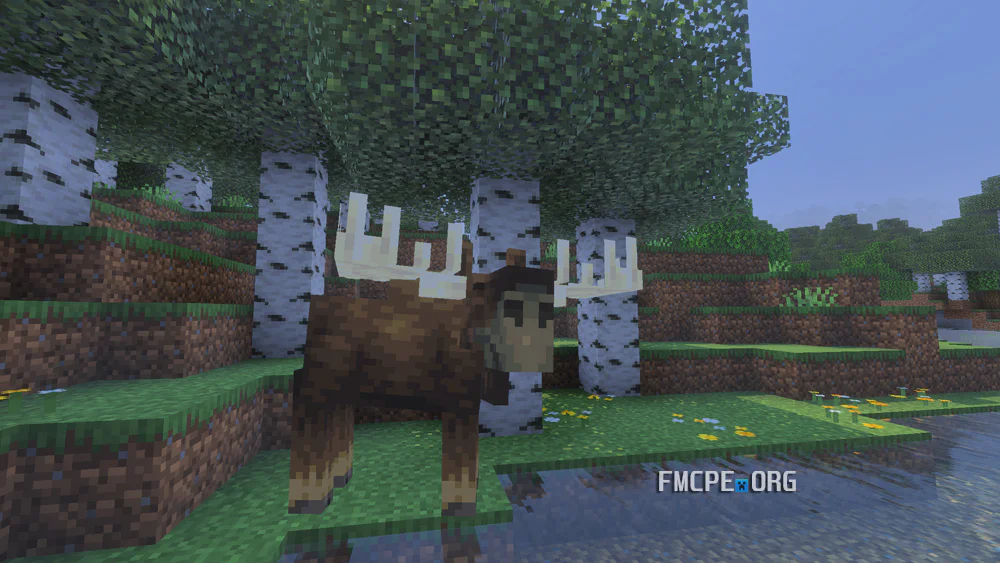 Moose