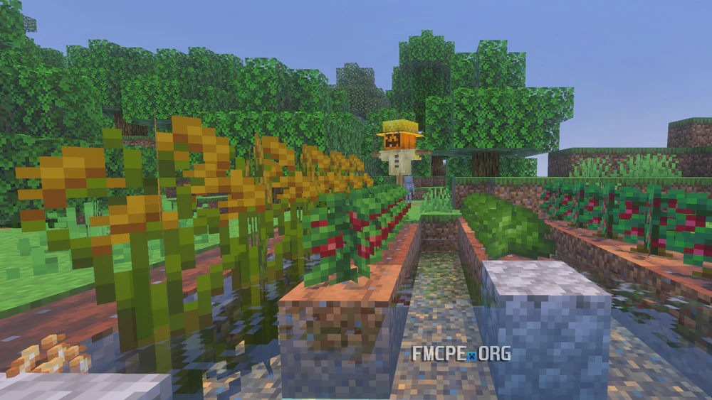 My Rice, Tomato and Pepper farm