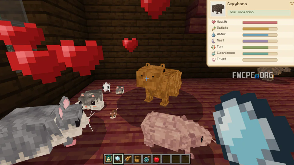 Checking pet's stats using Magnifying glass