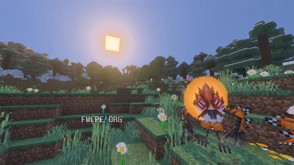 Sunbird mobs